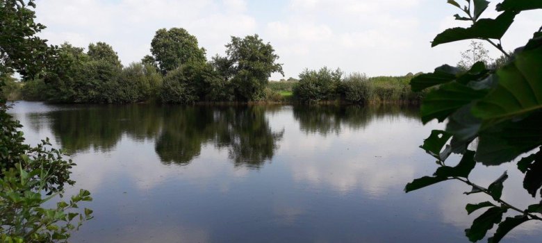 Man sieht einen See und blauen Himmel. Um den See sieht man viele Bäume und Büsche