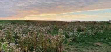 Auf dem Bild erkennt man Hilgenriedersiel. Es ist ein Landschaftsbild bei dem der Himmel einen Sonnenuntergang zeig. In Rest des Bildes sind Salzwiesen, Rasen und Blumen.