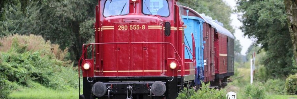 Auf dem Bild sieht man die Front einer Museumseisenbahn, die durch einen Wald mit viel Grün fährt. Die Bahn ist rot und der zweite Waggon ist hellblau.