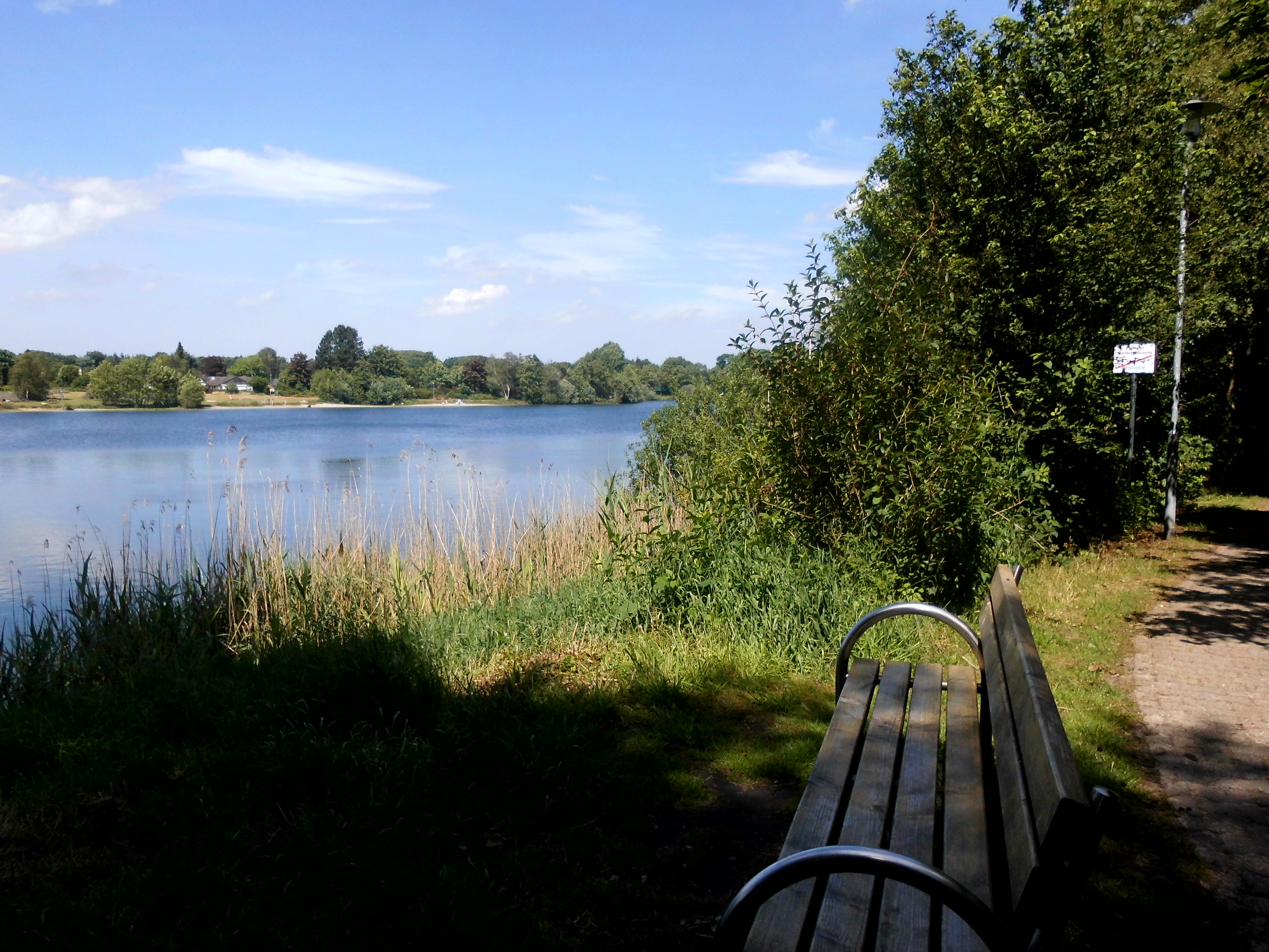 Auf dem Bild steht eine Holzbank am Kiessee. Zwischen dem See und der Bank ist ein kleiner Streifen Rasen und am See entlang sind Büsche und Sträucher. 