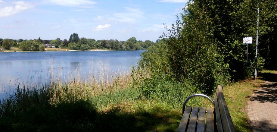 Auf dem Bild steht eine Holzbank am Kiessee. Zwischen dem See und der Bank ist ein kleiner Streifen Rasen und am See entlang sind Büsche und Sträucher. 