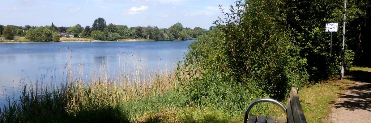 Auf dem Bild steht eine Holzbank am Kiessee. Zwischen dem See und der Bank ist ein kleiner Streifen Rasen und am See entlang sind Büsche und Sträucher. 