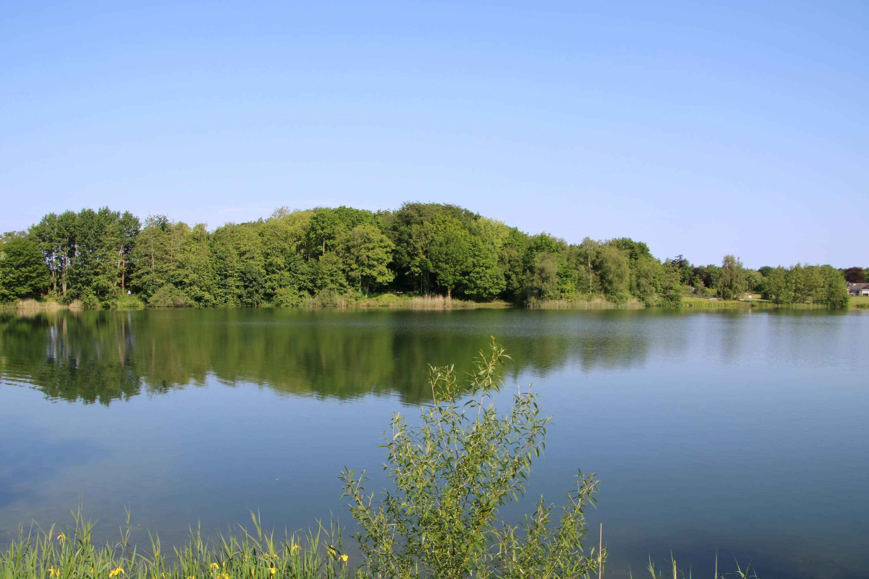 Auf dem Bild sieht man den Kiessee mit blauem Himmel. im Hintergrund, am anderen Ufer des Sees, sind viele Bäume, ein Wäldchen, zu sehen. im Vordergrund steht ein kleines Gebüsch.