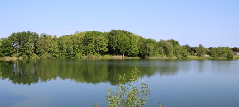 Auf dem Bild sieht man den Kiessee mit blauem Himmel. im Hintergrund, am anderen Ufer des Sees, sind viele Bäume, ein Wäldchen, zu sehen. im Vordergrund steht ein kleines Gebüsch.