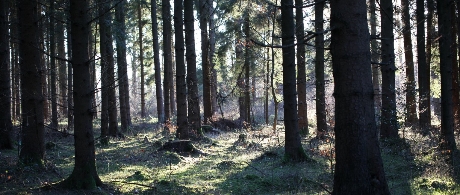 Luftkurort Hage Tourismus