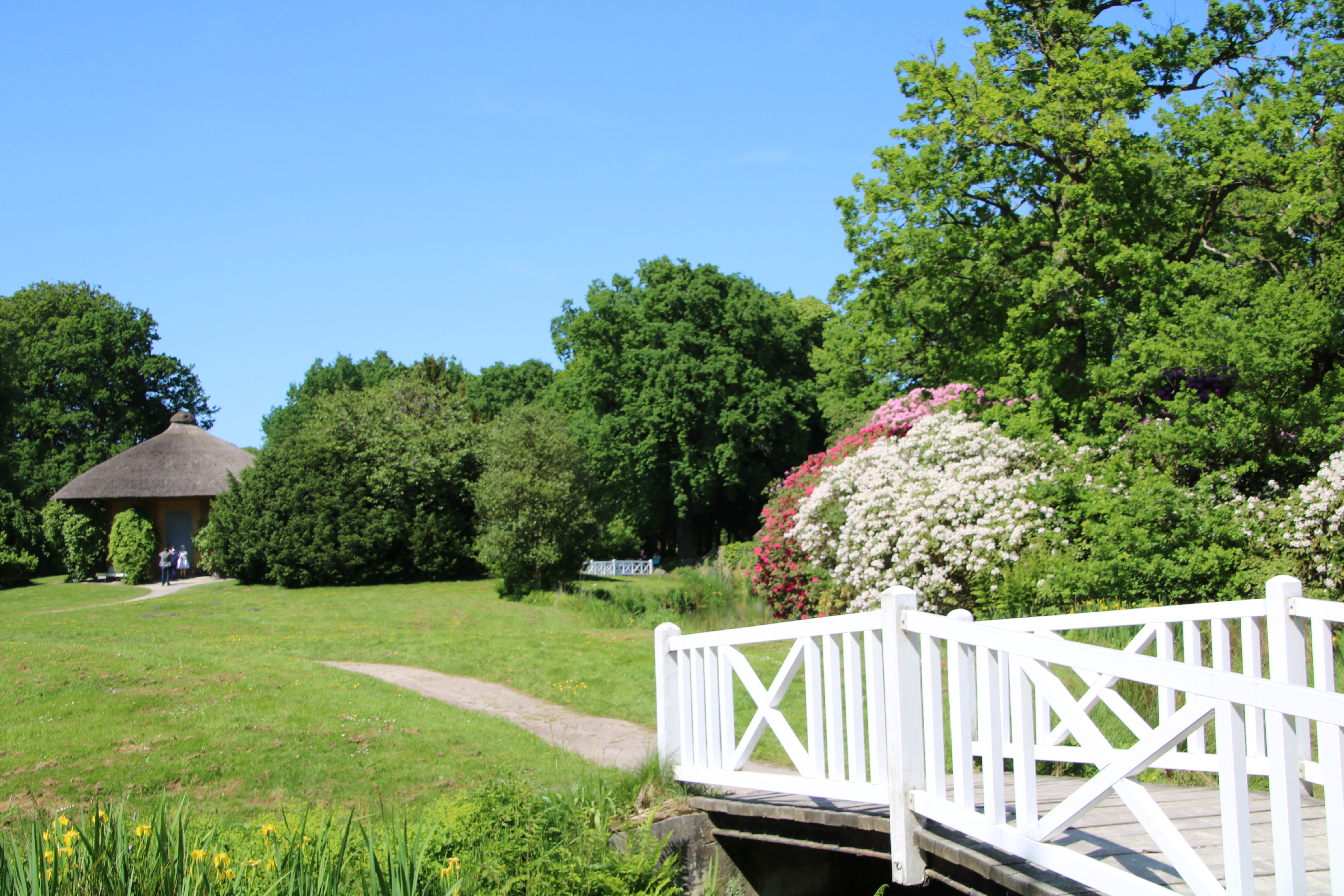 Auf dem Bild sieht man rechts im Vordergrund eine weiße Brücke und dahinter einen Schotterweg mit Rasenfläche umgeben. Rechts sieht man viele grüne Bäume und Rhododendren, die am Ufer vom Wasser stehen. Links im Hintergrund befindet sich ein Pavillon mit Reetdach, der von weiteren Bäumen umgeben ist.