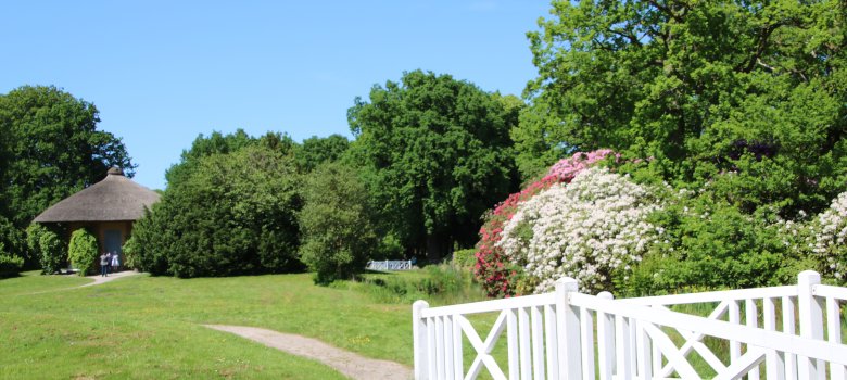 Auf dem Bild sieht man rechts im Vordergrund eine weiße Brücke und dahinter einen Schotterweg mit Rasenfläche umgeben. Rechts sieht man viele grüne Bäume und Rhododendren, die am Ufer vom Wasser stehen. Links im Hintergrund befindet sich ein Pavillon mit Reetdach, der von weiteren Bäumen umgeben ist. 